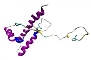 ÉPILEPSIE: La protéine prion protège contre les crises – Scientific Reports