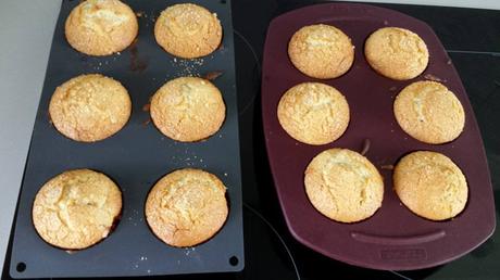 Mise à l'honneur (15) de Jennifer Mise à l'honneur (15) de Jennifer