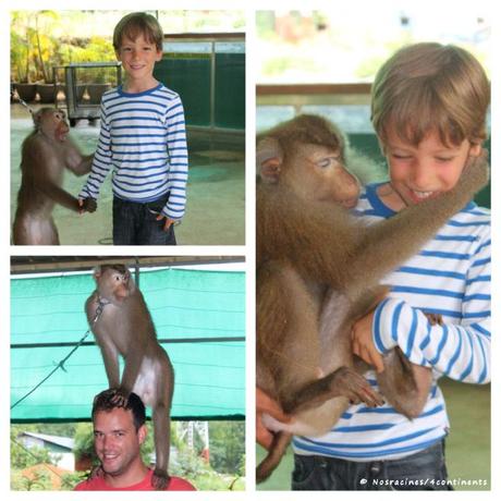 La Thaïlande avec des enfants : cinq activités à faire à Phuket Monkey Show