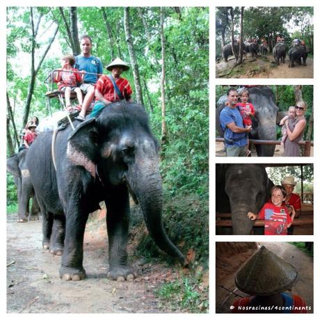La Thaïlande avec des enfants : cinq activités à faire à Phuket PicPlayPostPhoto-éléphant