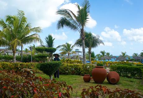 Flower Power 2015 Flower Power 2015