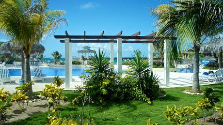 Flower Power 2015 Flower Power 2015