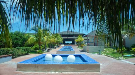 Flower Power 2015 Flower Power 2015