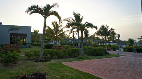 Flower Power 2015 Flower Power 2015