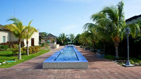 Flower Power 2015 Flower Power 2015