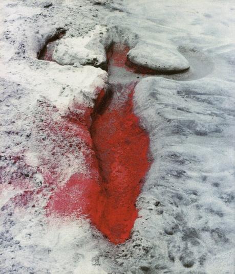 Le Nu Sauvage – Ana Mendieta Untitled (Silueta Series, Mexico), 1976