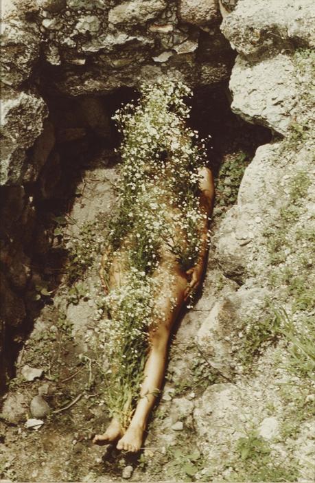 Le Nu Sauvage – Ana Mendieta Ana Mendieta : Imagen de Yagul, séries Siluetas in Mexico 1973-1977 - Collection SFMOMA