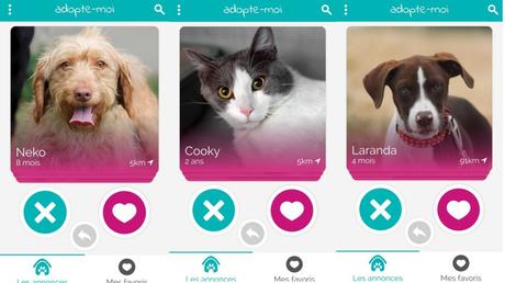 Site rencontre adopte moi