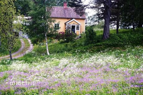 Härnösand est une ville de Suède, chef-lieu de la commune de Härnösand, dans le comté de Västernorrland. 18 003 personnes y vivent.