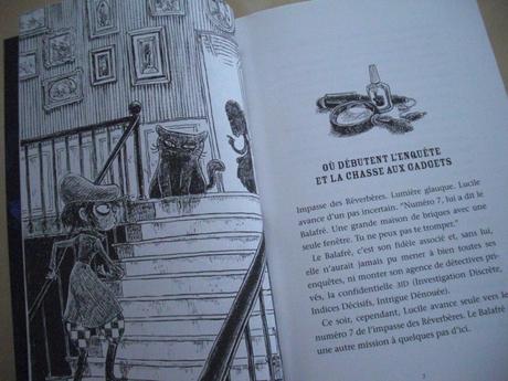 Lucile Finemouche et le balafré, tome 1 : la dimension chronogyre