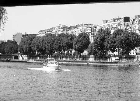 Paris XV ème - Front de Seine et l’Île aux Cygnes