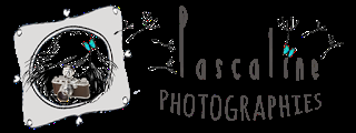 JoliE NaissancE Pascaline Photographies Ƹ̵̡Ӝ̵̨̄Ʒ