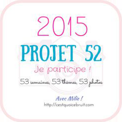 Projet 52 2015