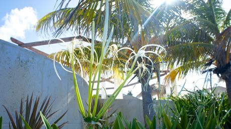 Flower Power 2015 Flower Power 2015