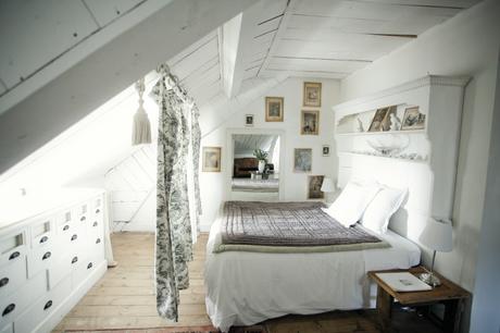 L’Annexe d’Aubrac edelweiss copie