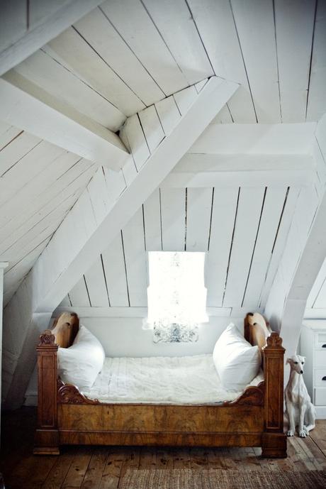 L’Annexe d’Aubrac edelweiss