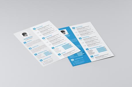 Bilan et reconversion professionnelle : conseils et modèles de curriculum vitae ! vie-organisee-bilan-professionnel-cv4