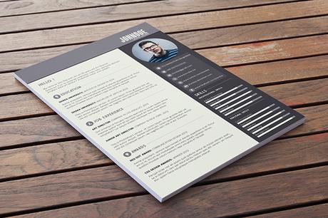 Bilan et reconversion professionnelle : conseils et modèles de curriculum vitae ! vie-organisee-bilan-professionnel-cv3