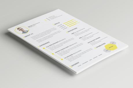 Bilan et reconversion professionnelle : conseils et modèles de curriculum vitae ! vie-organisee-bilan-professionnel-cv1