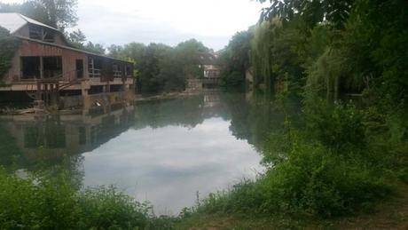 Sud-Ouest : trois villes fleuries apprivoisent l’eau, La Rochelle, Périgueux et Poitiers Poitiers