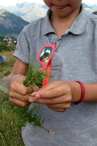 La montagne en été: Serre-Chevalier en famille La montagne en été: Serre-Chevalier en famille