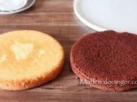 Comment faire un gâteau damier sans le moule spécial damier .. Comment faire un gâteau damier sans le moule spécial damier ..