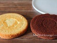 Comment faire un gâteau damier sans le moule spécial damier .. Comment faire un gâteau damier sans le moule spécial damier ..