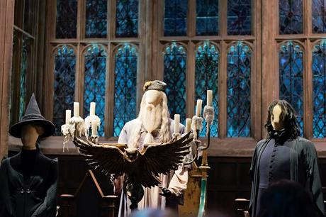 Sur le traces de Harry Potter 1520665_10153428486617180_1566350528618701520_n