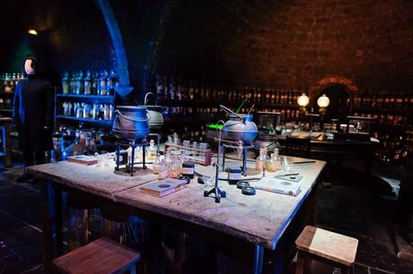 Sur le traces de Harry Potter 11193399_10153428487237180_5478879333368325851_n