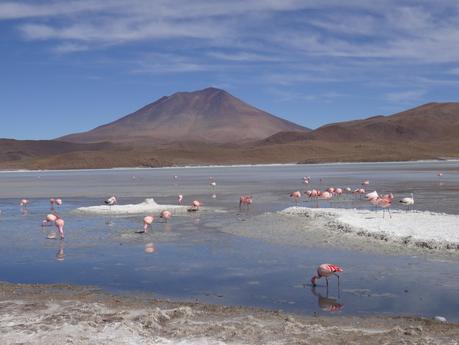 Virée dans le Sur Lipez et Uyuni : top 10 des plus belles photos de la journée 3. DSC01118