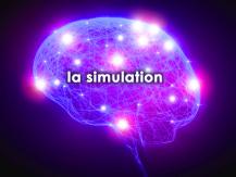 Parlez-vous les mêmes langages que votre cerveau ? Parlez-vous les mêmes langages que votre cerveau ?