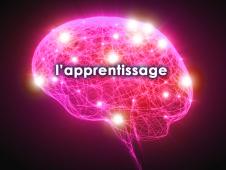Parlez-vous les mêmes langages que votre cerveau ? Parlez-vous les mêmes langages que votre cerveau ?