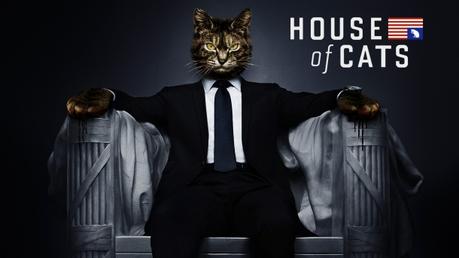 Les résultats du concours déjanté : Si les chats dominaient le monde ! Corel2