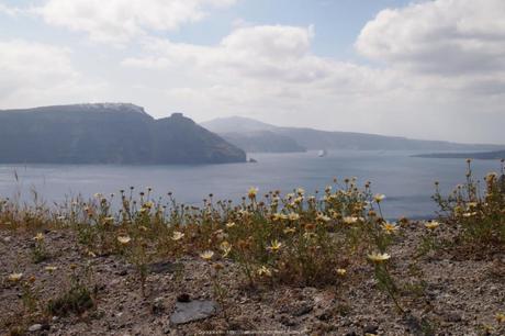 Observer la caldeira, randonnée d’Oia à Fira (Santorin) Randonnee-Oia-Fira-31_gagaone