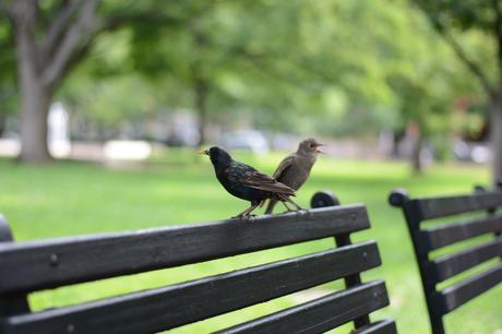 American outfit GAP GIRLFRIEND JEANS 3