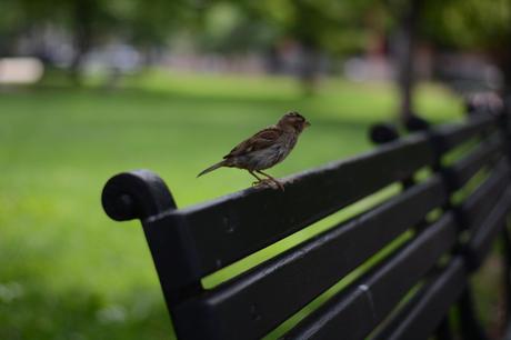 American outfit GAP GIRLFRIEND JEANS 4