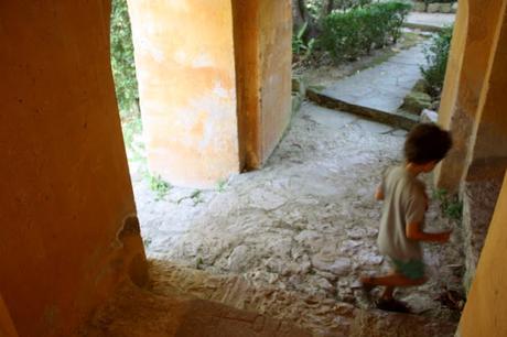 Les jardins des Serres de la Madone, à Menton: une visite magique. Les jardins des Serres de la Madone, à Menton: une visite magique.