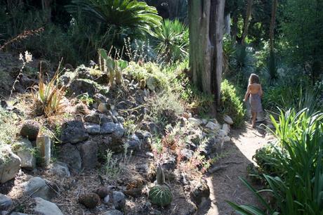 Les jardins des Serres de la Madone, à Menton: une visite magique. Les jardins des Serres de la Madone, à Menton: une visite magique.