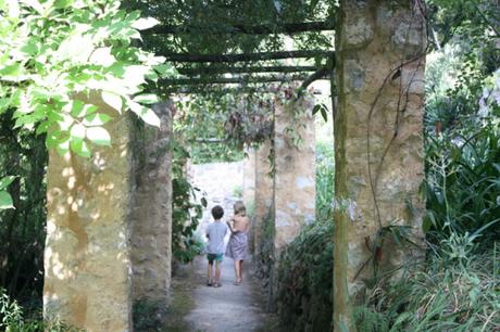 Les jardins des Serres de la Madone, à Menton: une visite magique. Les jardins des Serres de la Madone, à Menton: une visite magique.