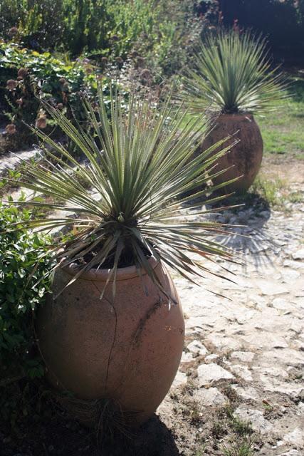 Les jardins des Serres de la Madone, à Menton: une visite magique. Les jardins des Serres de la Madone, à Menton: une visite magique.
