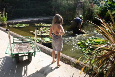 Les jardins des Serres de la Madone, à Menton: une visite magique. Les jardins des Serres de la Madone, à Menton: une visite magique.