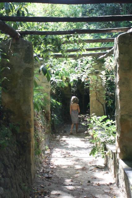 Les jardins des Serres de la Madone, à Menton: une visite magique. Les jardins des Serres de la Madone, à Menton: une visite magique.