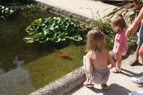 Les jardins des Serres de la Madone, à Menton: une visite magique. Les jardins des Serres de la Madone, à Menton: une visite magique.