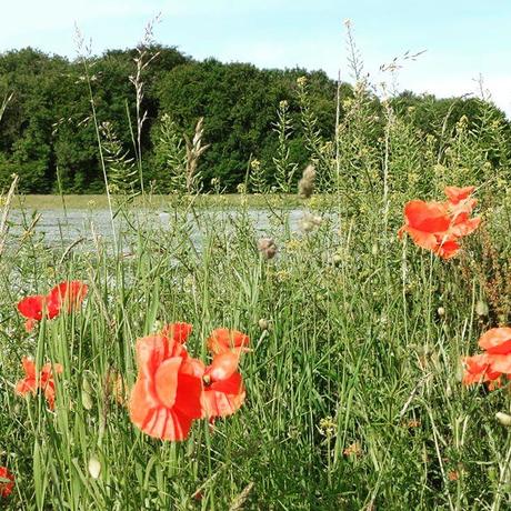 La semaine qui annonce les vacances La semaine qui annonce les vacances