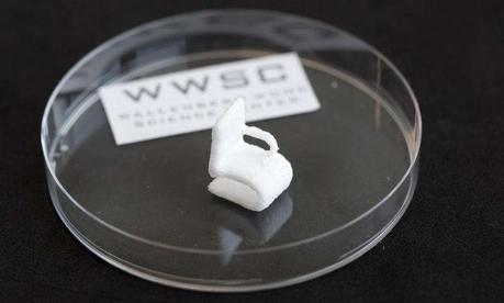 Cellulose from wood can be printed in 3-D