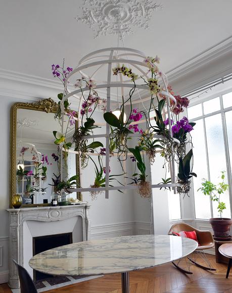Patrick Nadeau met en scène les orchidées chez Evane _ Interior Design Paris Crédit photo : ID VISUALIZ