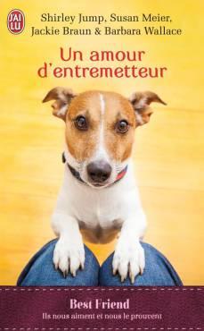 Un amour d'entremetteur J’ai Lu Pour Elle : Sorties d’Août 2015