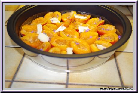 TATIN DU ROUSSILLON tatin d'abricots à la lavande-46