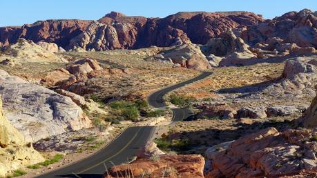 Back from our road trip P1130006