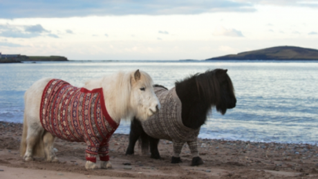 Bien s’habiller enceinte : Partenariat Envie de Fraise poney_pull